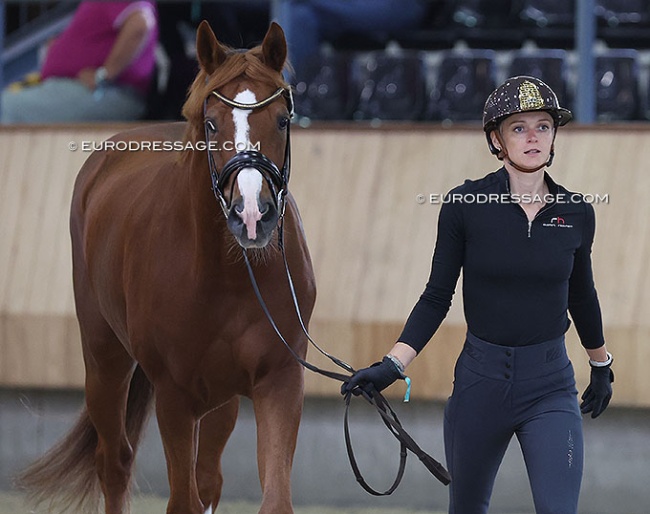 Austrian team newcomer: Bettina Kendlbacher and Broadmoars Don Alfredo :: Photo © Astrid Appels