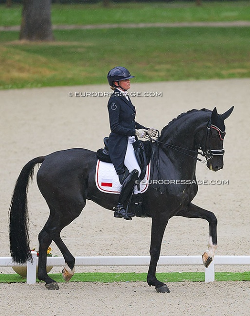 Ilona Janas and Dark Knight at the 2025 CDIO Compiegne :: Photo © Astrid Appels