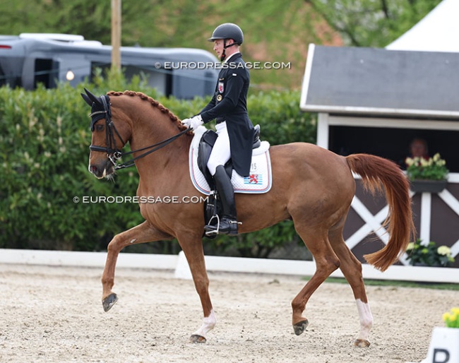 Nicolas Wagner on Quater Back Junior at the 2025 CDI Sint-Truiden :: Photo © Astrid Appels