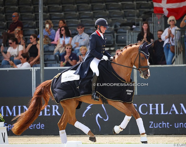 Fiona Bigwood and Quinn G win the 7-year old preliminary test at the 2025 World Young Horse Championships :: Photos © Astrid Appels