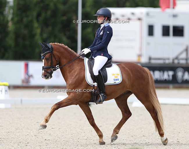 Frans Isak at the 2024 European Pony Championships :: Photo © Astrid Appels
