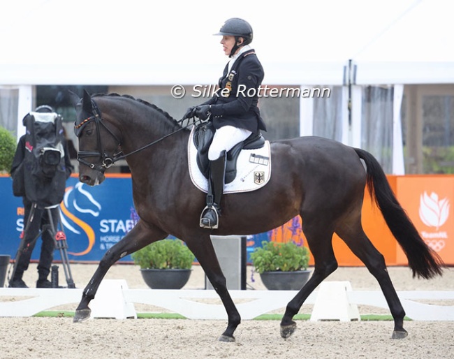 Heidemarie Dresing and Poesie win triple gold in Graded II at the 2025 European Para Dressage Championships :: Photo © Silke Rottermann