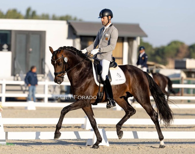Alejandro Sanchez del Barco and the Oldenburg stallion Eterno win the 4-year old division at the 2025 Spanish Young Horse Championships :: Photo © Lily Forado