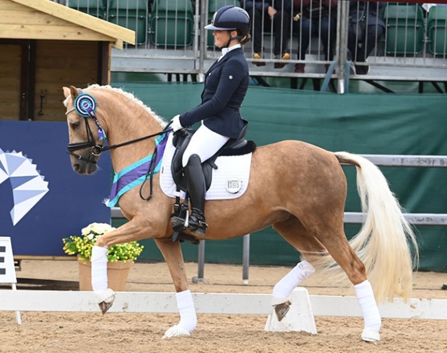 Queenie Moule and Amden Supreme Golden Dancer at the 2025 British Dressage Championships :: Photo © Kevin Sparrow