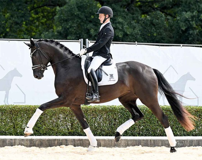 Tainted Love (by Total McLaren x Furst Romancier x Belissimo M)