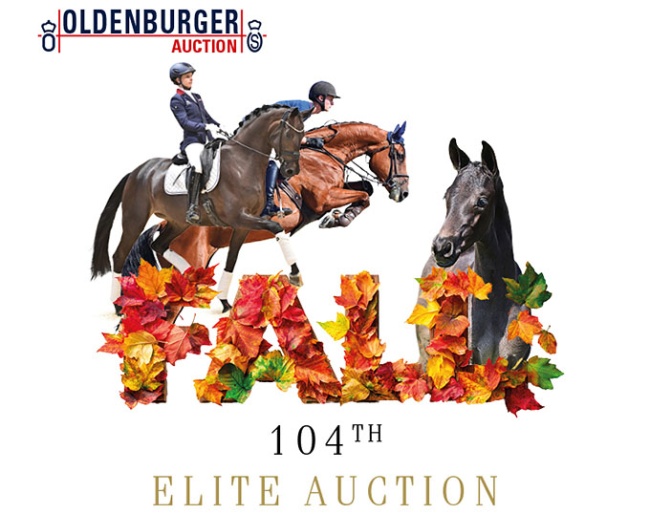 Oldenburg Fall Elite Auction on 3 October 2025