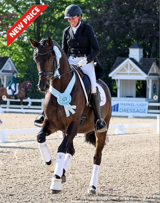 Don Hannes at the U.S Young Horse Championships :: Photo © Sue Stickle