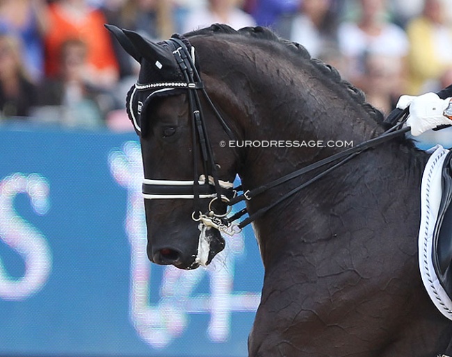 A head/neck position at the 2013 European Dressage Championships :: Photo © Astrid Appels