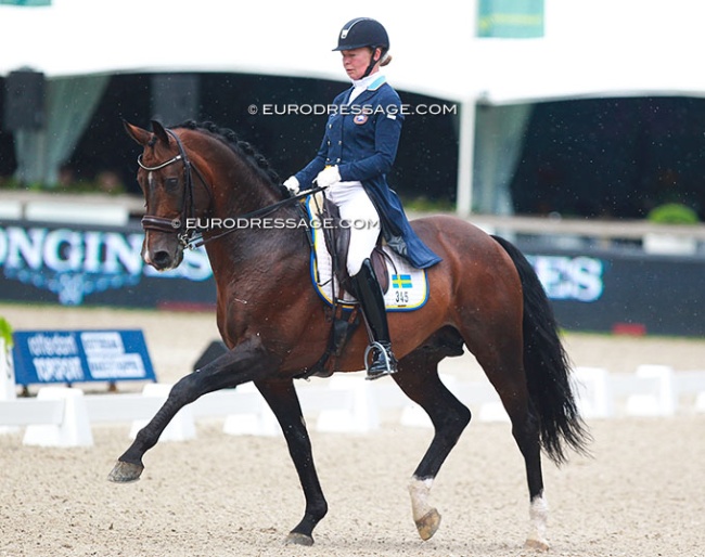 Rose Mathisen and Zuidenwind at the 2016 CDIO Rotterdam :: Photos © Astrid Appels