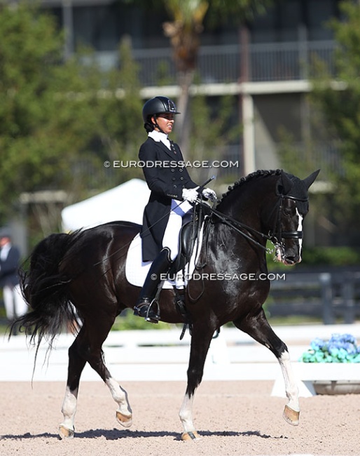 Genay Vaughn and Donarweiss GGF at the 2017 CDN Wellington :: Photo © Astrid Appels