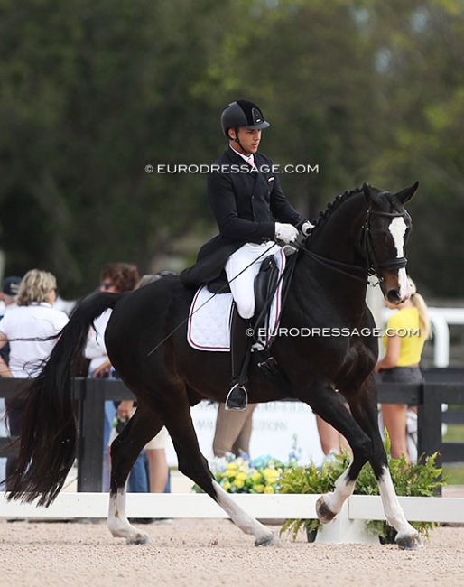 Ben Winger and QC Roberto Cavalli (by Rotspon x Metternich) at the 2019 CDN Wellington :: Photo © Astrid Appels
