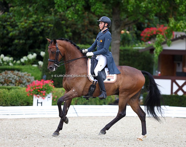 Juan José Ruiz Esteban on Jerezano at the 2023 European Junior Riders Championships :: Photo © Astrid Appels