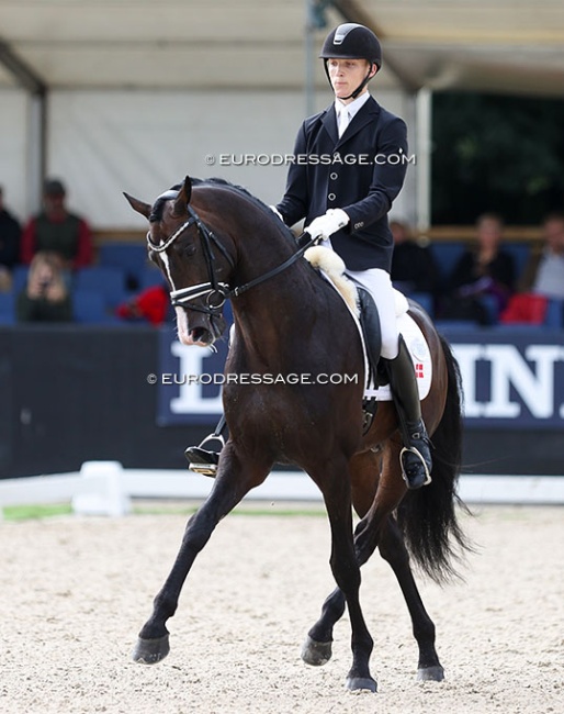 Hesselhoj Double Up at the 2023 World Young Horse Championships :: Photo © Astrid Appels
