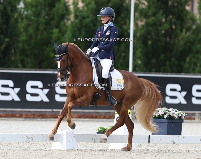 Frans Isak at the 2024 European Pony Championships :: Photo © Astrid Appels