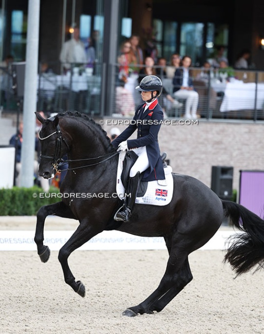 The highest ranked KWPN horse on the 2025 studbook ranking in fourth place: Glamourdale :: Photo © Astrid Appels