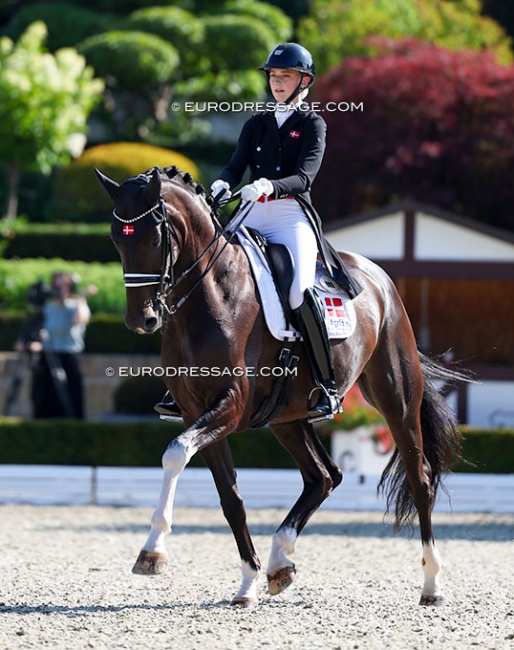 Anna Teibel Raben and Sparaday at the 2025 European Young Riders Championships :: Photo © Astrid Appels