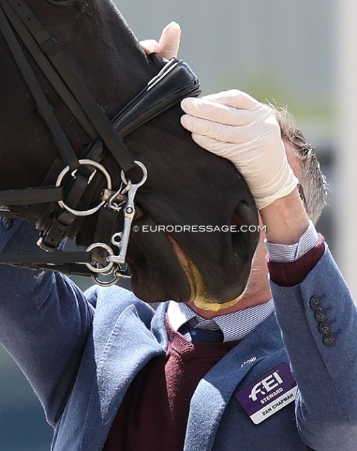 Noseband tightness being checked by a steward :: Photo © Astrid Appels