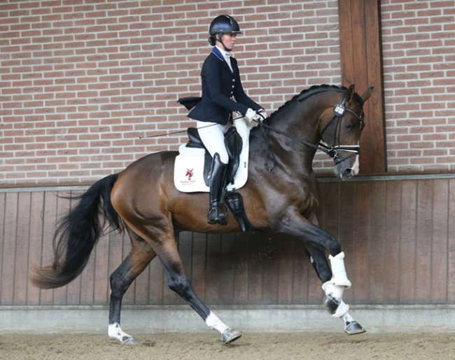 Siffredi at the 2025 NRPS performance test presentation :: Photo © Sandra Nieuwendijk