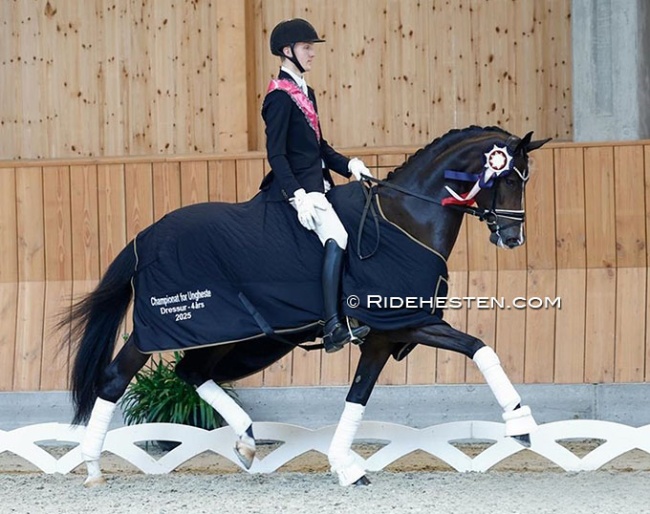 Anders Sjobeck Hoeck and Søbakkehus Miss Malfoy win the 4-year old division at the 2025 Danish Young Horse Championships :: Photos © Ridehesten