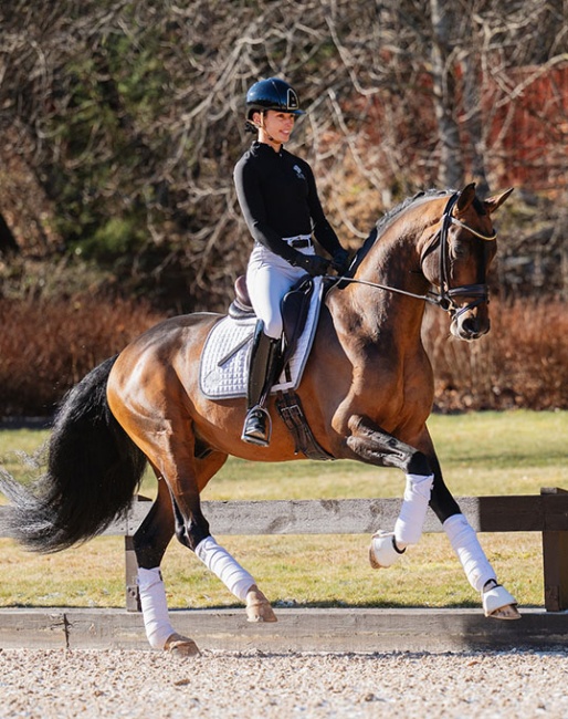 Caroline Darcourt on Devin Franco GJ :: Photo © Lovsta Stuteri