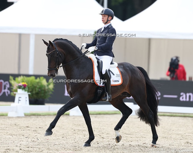 Bart Veeze and Pina Colada M at the 2025 World Young Horse Championships in Verden :: Photo © Astrid Appels
