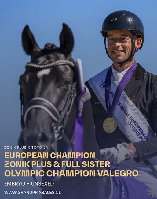 Three in utero foals by Zonik Plus