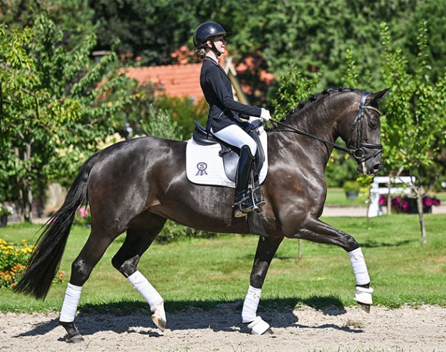 She Is Mine (by San Amour x Totilas)