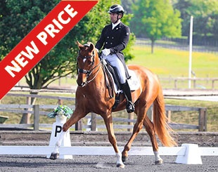 Quentino :: Photo © Spidge