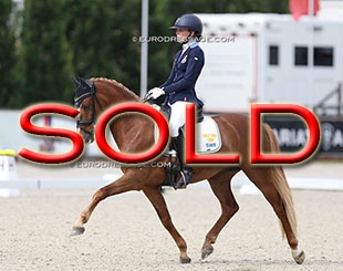 Frans Isak at the 2024 European Pony Championships :: Photo © Astrid Appels