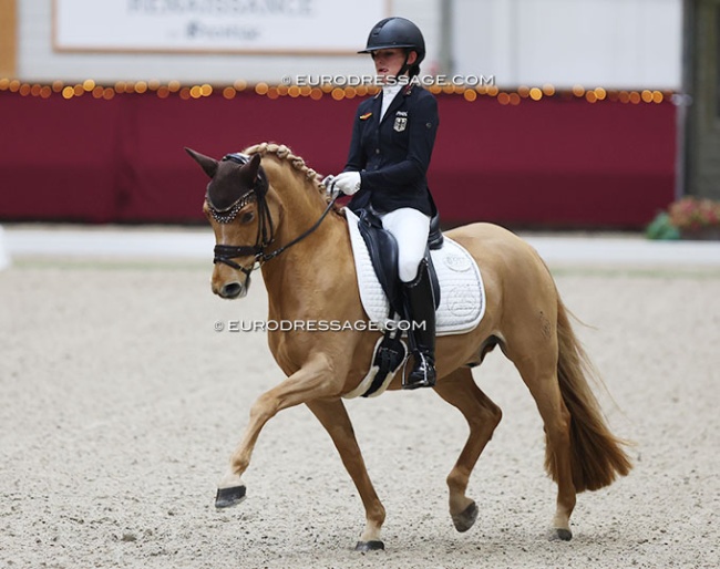 Lilli von Helldorff on Dobbi Dobsen at the 2024 CDI Kronenberg Indoor :: Photo © Astrid Appels