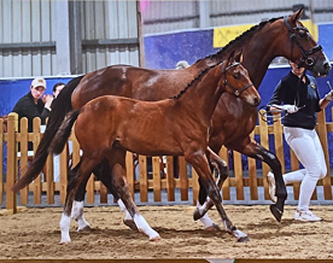 Irresistible (by Incredible x Timolin)