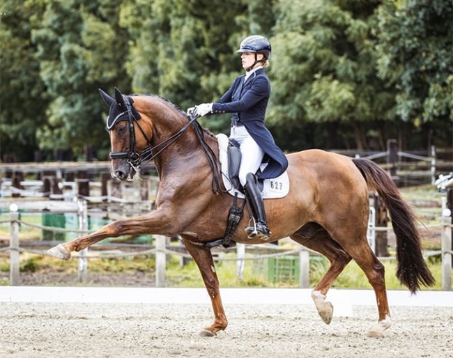 Beata Soderberg on her Grand Prix horse Talento :: Photo © Hana Muzikova