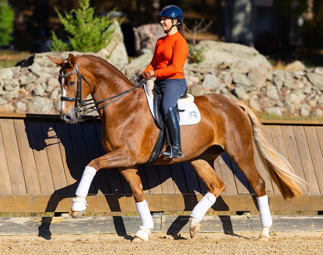 NorCordia's team member Catherine Haddad