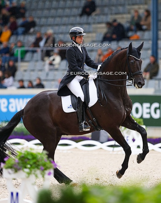 Juan Rodriguez on Meggle's Enzo's Erbe at the 2024 CDIO Aachen :: Photo © Astrid Appels