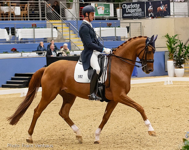 David McKinnon and Forlan at the 2024 CDI Sydney :: Photos © Franz Venhaus