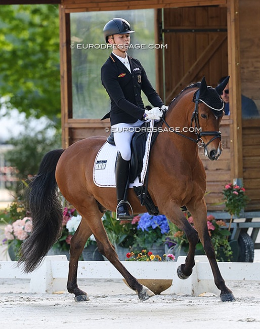 Mats Buck and Assenmachers Gentleman at the 2025 CDIO Compiegne :: Photo © Astrid Appels