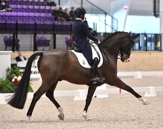 Meagan Davis and Toronto Lightfoot at the 2025 CDI-W Ocala :: Photo © Andrew Ryback