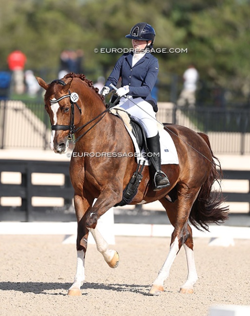 McKenzie Dicks on Hope Cooper's Flynn PCH at the 2025 CDN Wellington :: Photo © Astrid Appels