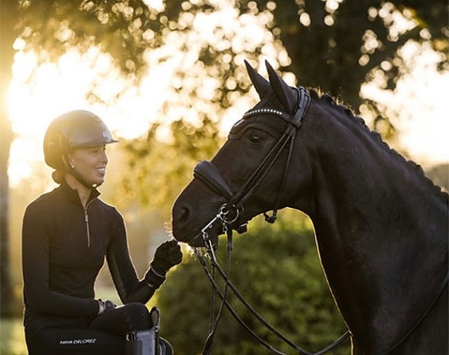 Show Chic, a premier equestrian lifestyle brand