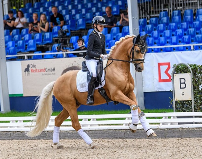 Dreamlike is a double Bundeschampionate finalist