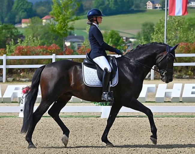 Follow Me OLD (by Furstenball x Donnerschwee)