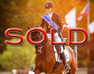 Something Special (by Sezuan x Royal Hit)