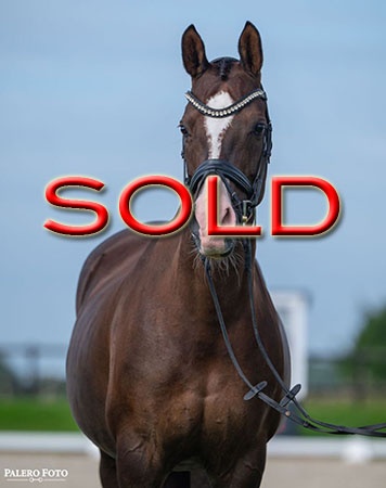 Pin Rock's Twister Sister