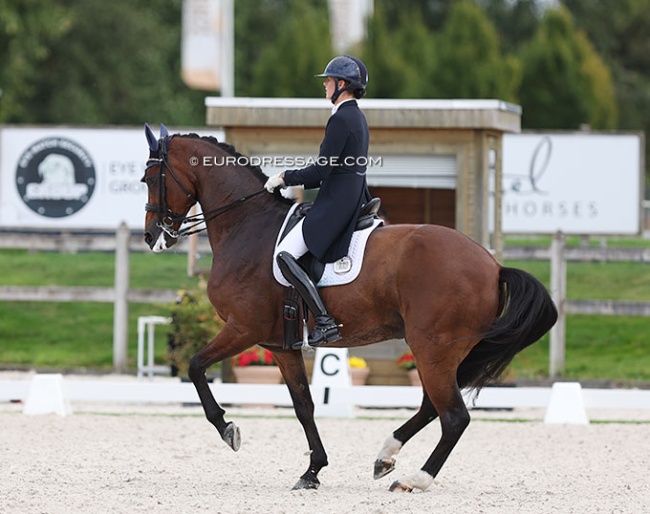 Jorinde Verwimp and Charmer at the 2023 CDI Kronenberg :: Photo © Astrid Appels