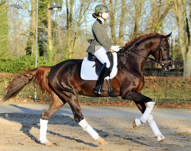 Svea Gross and Go For Romance PS in 2023 :: Photo © Annett Strohbehn