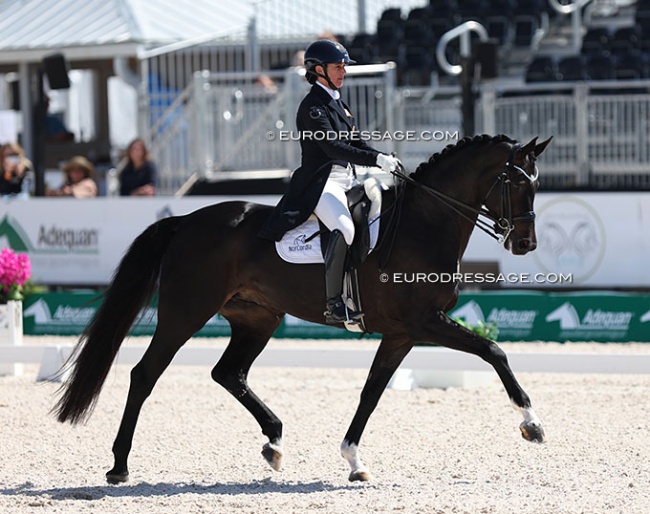 Catherine Haddad and Sola Diva in the developing PSG horse tests at the 2024 CDIO Wellington :: Photo © Astrid Appels