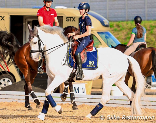 Swedish Grade 5 rider Lotta Wallin brought both her championships horses to Mannheim, here the PRE stallion Enebro SB :: Photo © Silke Rottermann