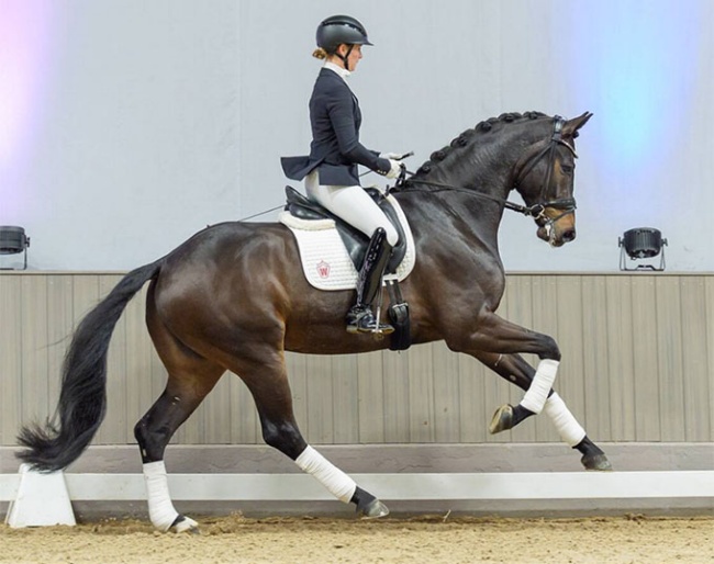 Dixieland Delight (by Dynamic Dream x Sandro Hit) :: Photo © Recki Media