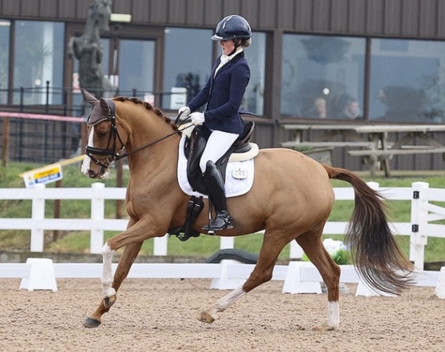 Daria LGD (by Cosmopolitan x Trendsetter)