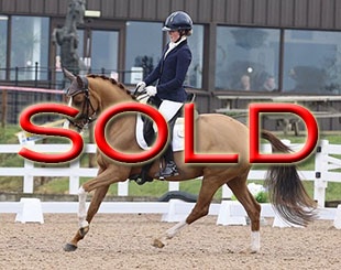 Sold within 10 days time !!